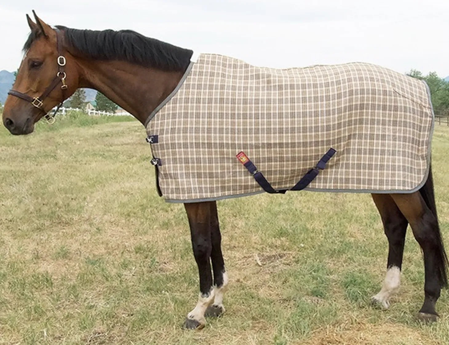 5/A Baker® Deluxe Blanket