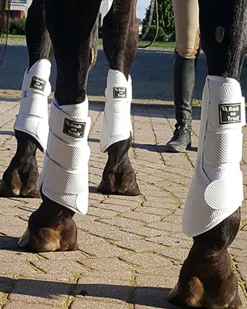 Back on Track® 3D Mesh Splint Boots