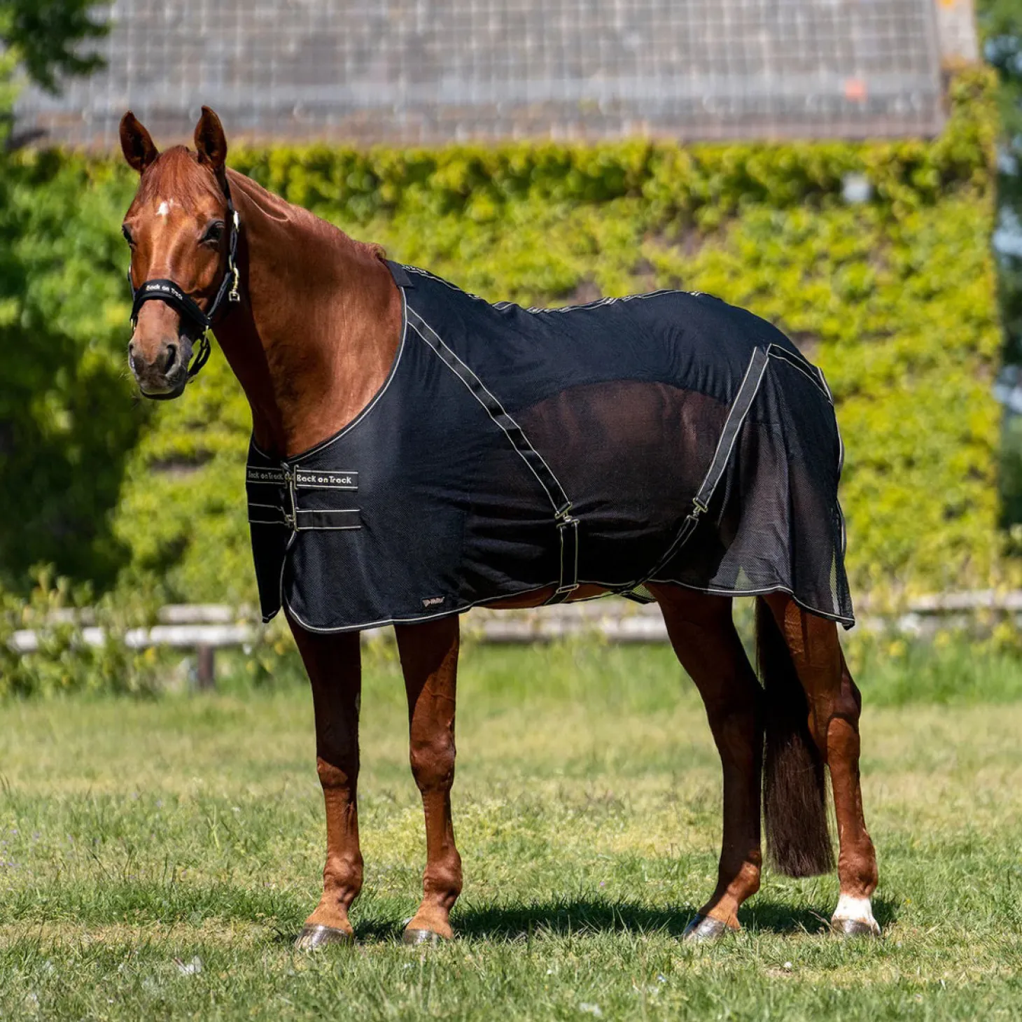 Back on Track® Sienna Mesh Cooler with Knitted Lining