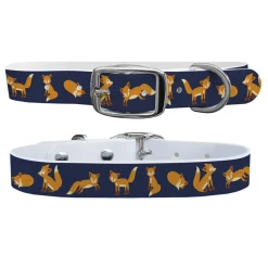 C4 Dog Collar
