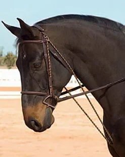 Camelot™ Chambon