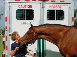 Caution Horses Sign