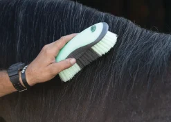 Dandy Brush