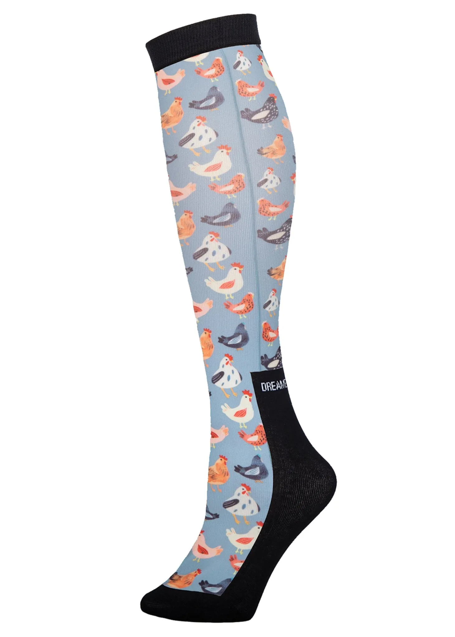 Dreamers and Schemers Pair and a Spare Socks