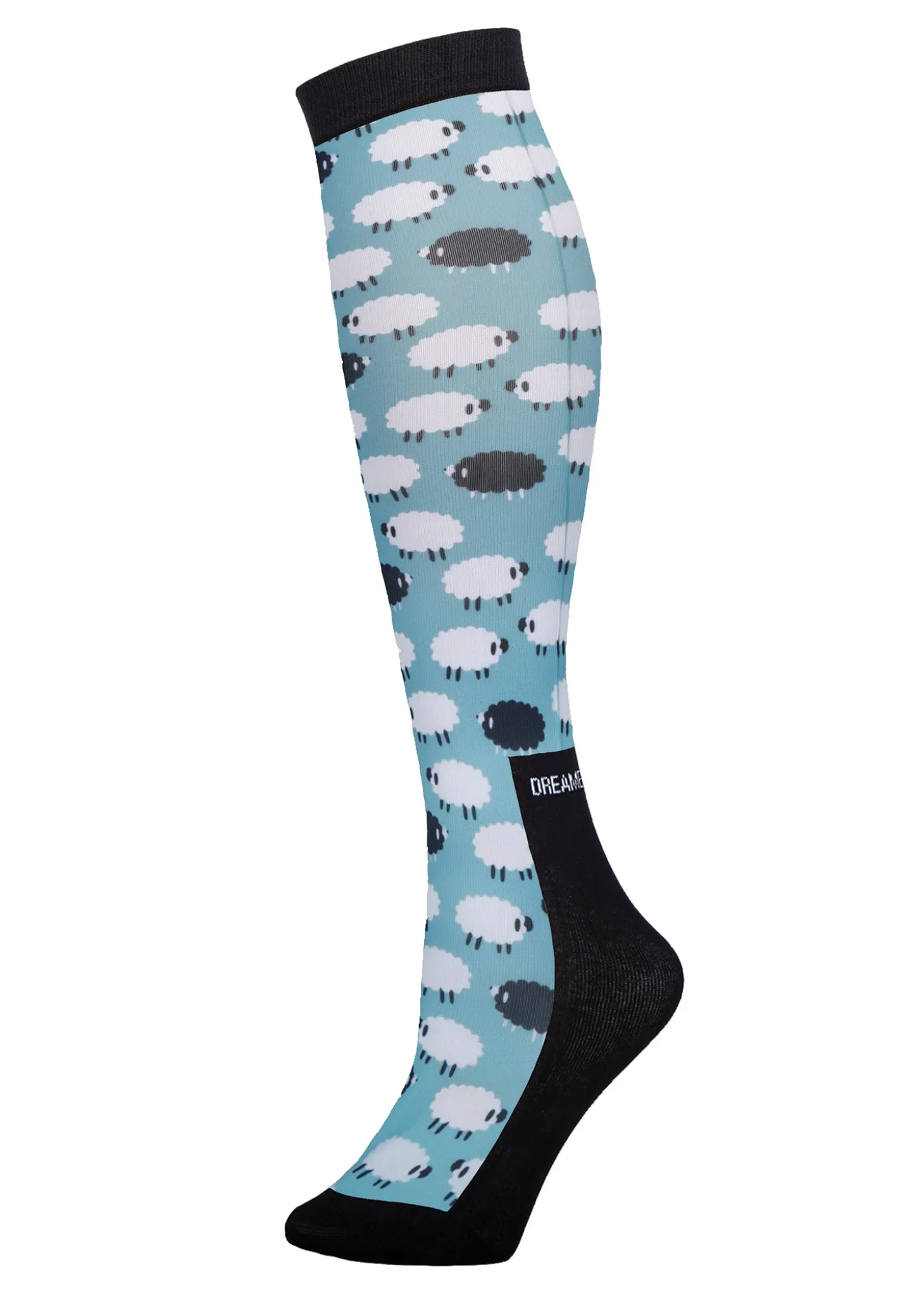 Dreamers and Schemers Pair and a Spare Socks