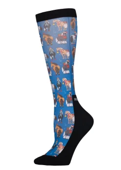 Dreamers and Schemers Youth Pair and a Spare Socks