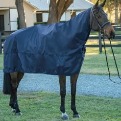 DS Rain Sheet