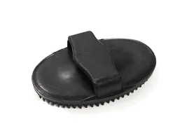 DS Small Traditional Curry Comb