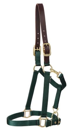 DS Heavy Nylon Breakaway Halter