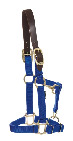 DS Heavy Nylon Breakaway Halter