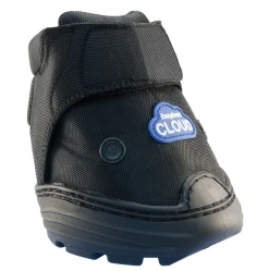 EasyBoot® Cloud