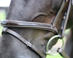 Henri de Rivel Piaffe Mono Crown Bridle with Flash Noseband & Patent Leather