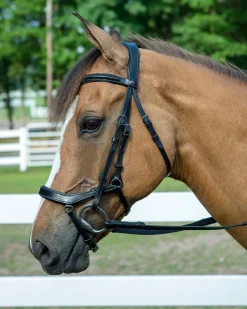 Henri de Rivel Pro Anatomical Bridle