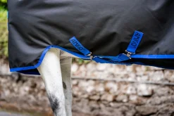 Horseware® Ireland Amigo® Ripstop 900D 200 Grams Plus Pony Turnout