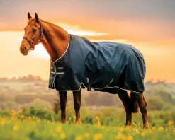 Horseware® Ireland Amigo® Ripstop 900D 200 Gram Standard Neck Turnout–Seasonal Color