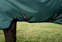 Horseware® Ireland Amigo® Ripstop 900D 100 Gram Standard Neck Turnout