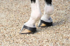 Jack's Grab Boots