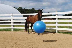 Jolly Mega Ball