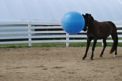 Jolly Mega Ball
