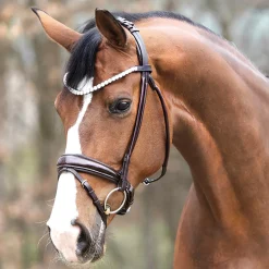 Kavalkade Florina Bridle