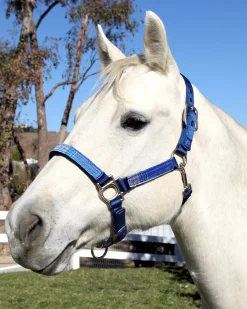 Kensington™ Premium Halter