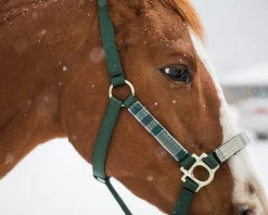 Kensington™ Premium Halter