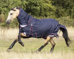 LeMieux® Kudos 100 Gram Turnout Blanket with Leg Straps