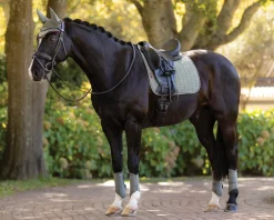 LeMieux® Suede Dressage Saddle Pad