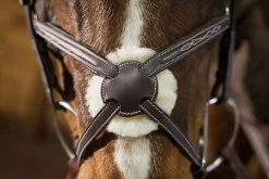 Pessoa® Pro Fancy-Stitched Figure-8 Bridle