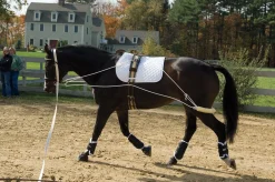 Pessoa® Training System