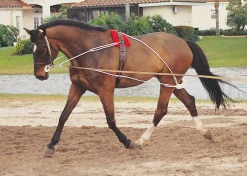 Pessoa® Training System