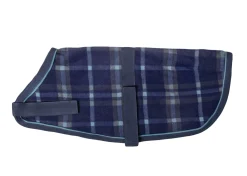 Rider’s International™ Dog Cooler