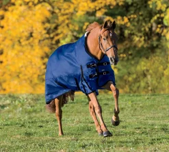 Rider’s International™ Supreme Turnout Sheet