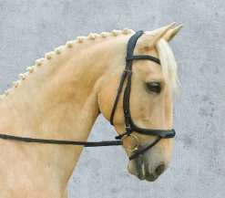 Schockemöhle Equitus Alpha Bridle