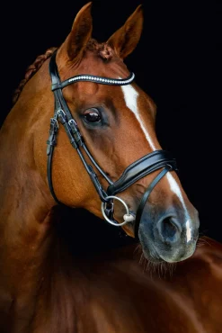 Schockemöhle Malibu Bridle