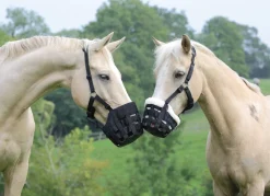 Shires Deluxe Grass Muzzle