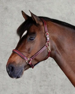 Suffolk™ Ergonomic Halter