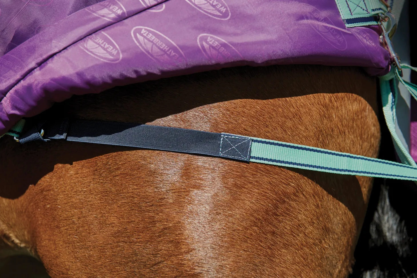 WeatherBeeta® Pony ComFiTec™ Premier Free II Standard Neck Lite Turnout