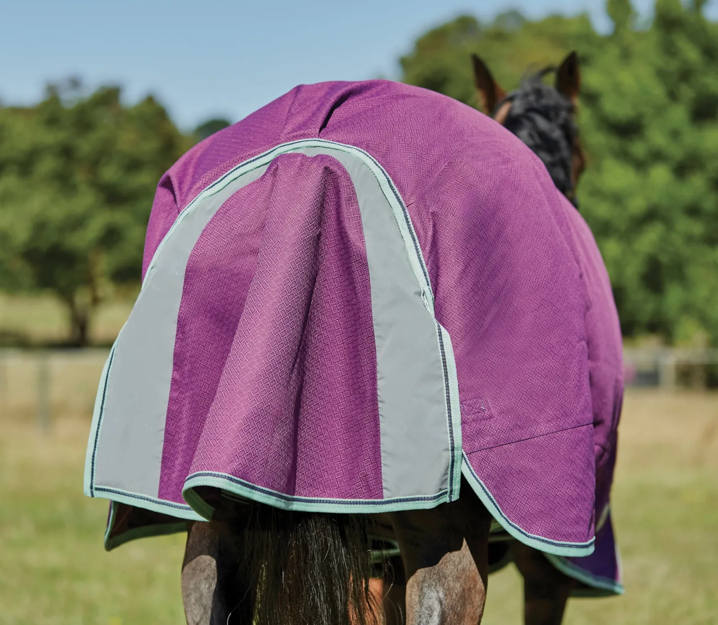 WeatherBeeta® Pony ComFiTec™ Premier Free II Standard Neck Lite Turnout