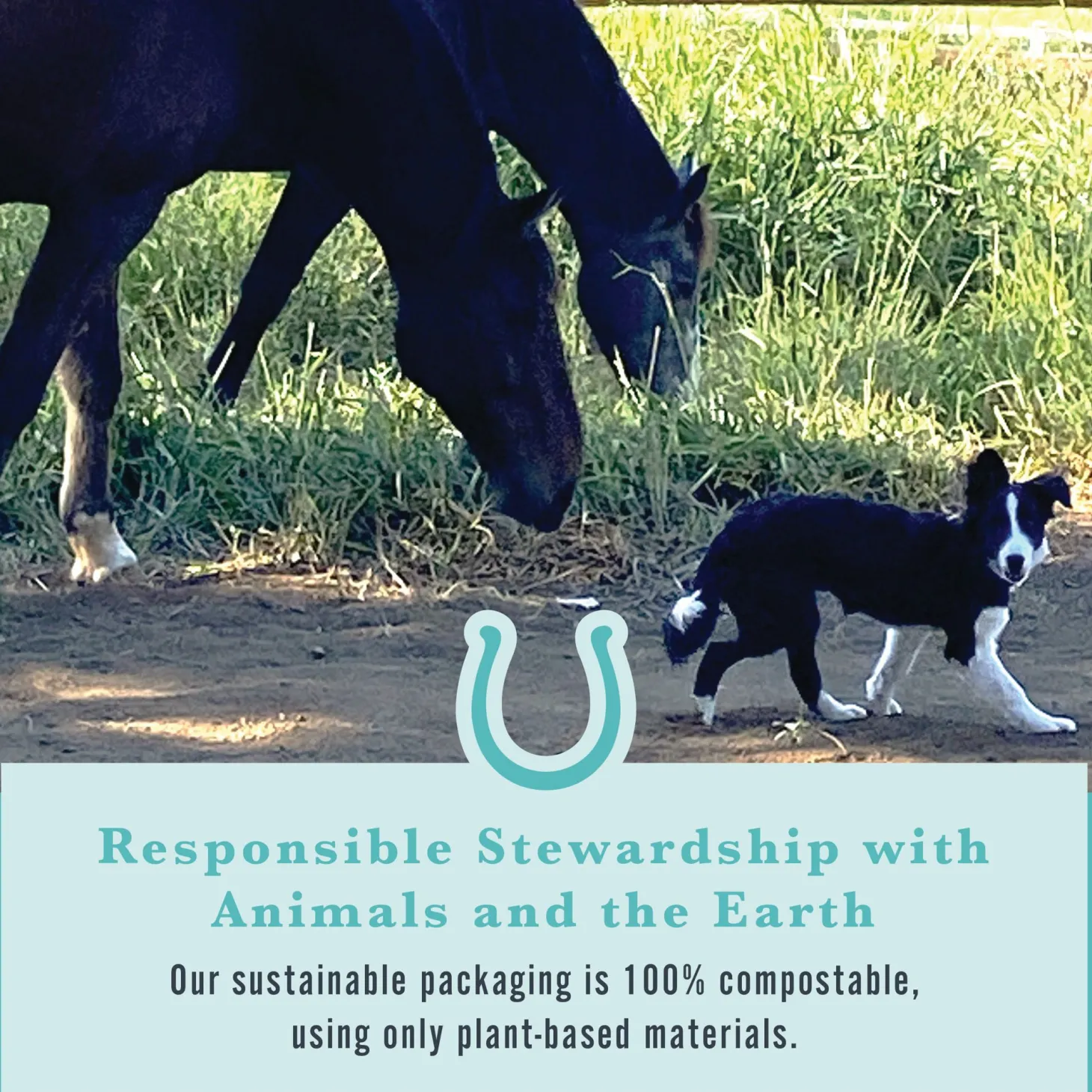 Withers & Withers Sugar-Free Peppermint/Marshmallow Nutra-Treats for Horses